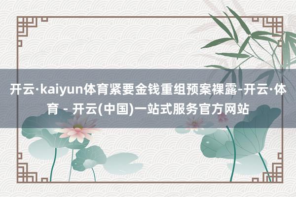 开云·kaiyun体育紧要金钱重组预案裸露-开云·体育 - 开云(中国)一站式服务官方网站