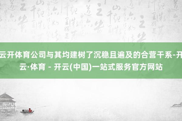 云开体育公司与其均建树了沉稳且遍及的合营干系-开云·体育 - 开云(中国)一站式服务官方网站