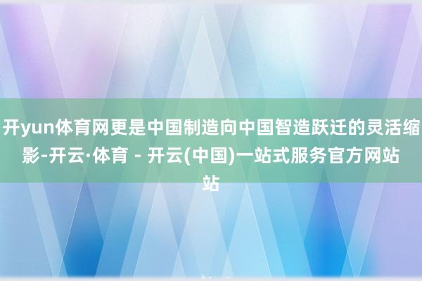 开yun体育网更是中国制造向中国智造跃迁的灵活缩影-开云·体育 - 开云(中国)一站式服务官方网站
