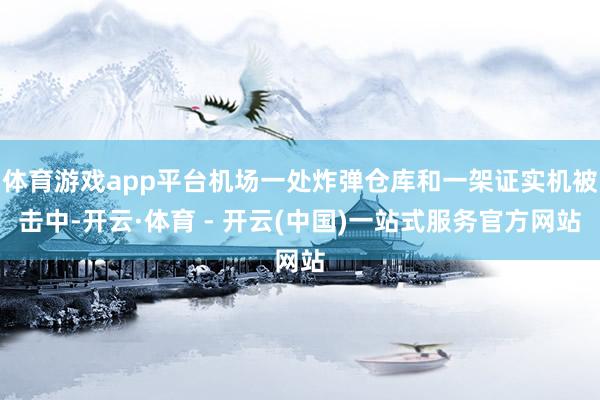 体育游戏app平台机场一处炸弹仓库和一架证实机被击中-开云·体育 - 开云(中国)一站式服务官方网站