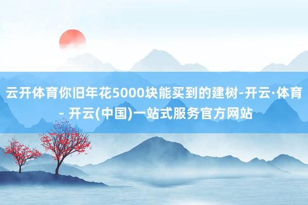 云开体育你旧年花5000块能买到的建树-开云·体育 - 开云(中国)一站式服务官方网站
