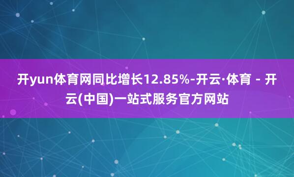 开yun体育网同比增长12.85%-开云·体育 - 开云(中国)一站式服务官方网站