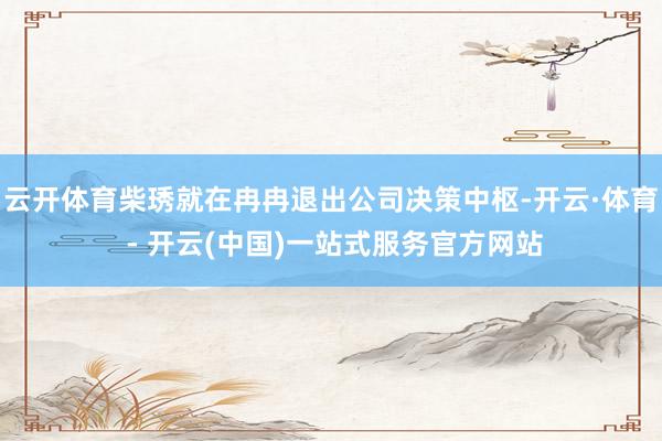 云开体育柴琇就在冉冉退出公司决策中枢-开云·体育 - 开云(中国)一站式服务官方网站